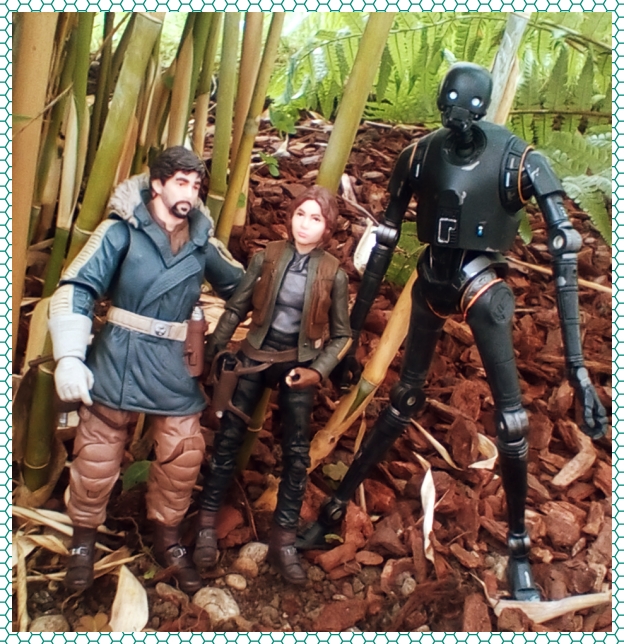 Jy, Cassian and K2.